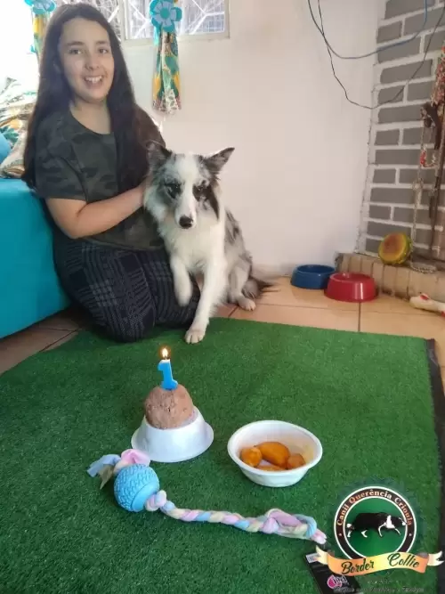 Clientes Felizes